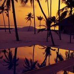 Rich Roloff - @rustyrich2468 - Instagram