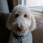 Rick Rowley - @rickrowley1956 - Instagram
