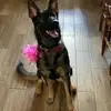 rickrowley591 - @rickrowley591 - TikTok