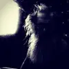Official Rick Rubin - @officialrickrubin - TikTok