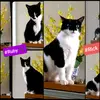 Ricky&Ruby - @rickyruby26 - TikTok