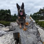 Rick Rudolf - @rick_rude77 - Instagram