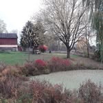 Rick Rudolf - @rzrrepairllc - Instagram