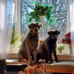Rick Sanderson - @rjsanderson03 - Instagram