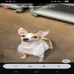 Rick Saxton - @ricksaxton5 - Instagram