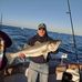 Rick Sayers - Facebook