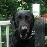 Rick Saylor - @55riley - Instagram