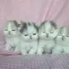 Rick Schmidt - @rick.schmidt91 - TikTok