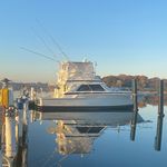 Rick Schneider - @rick_schneider1 - Instagram