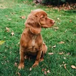 @rick.schuster - Instagram