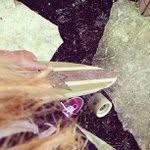 Rick Seale - @engilpoi - Instagram