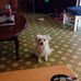 Rick Seibert - Facebook