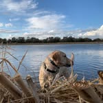 Rick M. Shanks - @rick.m.shanks - Instagram