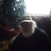 Rick Shinn - Facebook