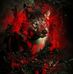 Rick Shoup - Facebook