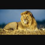 Rick Silverman - @ricksilvermn - Instagram