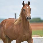 Miss rick🐎 - @miss_rick_six_np - Instagram
