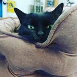 Rick - @ricksixsix - Instagram