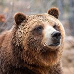 Rick Six - @lonegrizzly24 - Instagram