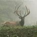 Rick Skaggs - Facebook