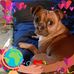 Rick Skelley - Facebook