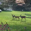 Rick Snowden - @rick.snowden - TikTok