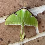 Rick Snider - @ricksnider3 - Instagram