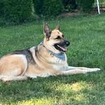 Rick Snider - @snidedrums - Instagram