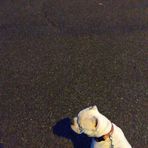 Richard Snodgrass - Facebook