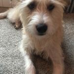 Rick Sorrell - @rsorrell1976 - Instagram