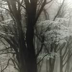 Rick Stine - @rick_stine - Instagram