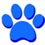 Richard Stockton Elementary - @rstocktonch - Instagram
