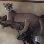 Rick Stout - @stout_rick - Instagram
