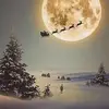 Ricky Stout - @ricky.stout7 - TikTok