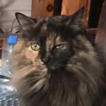 @rick.stowell - Instagram