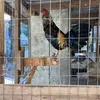 Ricky Stratton - @ricky.stratton - TikTok