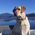 Rick Stroh - Facebook