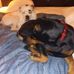 Rick Stroup - Facebook