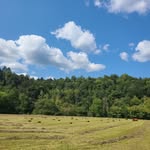 Richard Strunk - @strunk_richard - Instagram