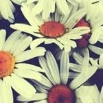 RickandDesiree Strunk - @rickanddesireestrunk - Instagram