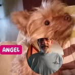 Rick Stults - Facebook
