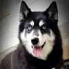 Rick Schuhr - @rickschuhr - TikTok
