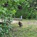 Richard Sundquist - Facebook