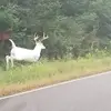 ricksutton425 - @ricksutton425 - TikTok