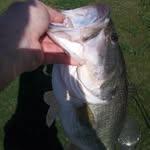 Rick Swank - @azfisherman - Instagram