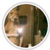 Erick Telles - @erick.telles2 - TikTok