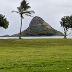 Rick Testa - @fxtrader58 - Instagram