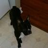rickthorpe4404 - @rickthorpe4404 - TikTok