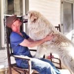 Richard D. Tipton - @milkyrays - Instagram