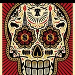 Richard Tolley - @rocktolley - Instagram